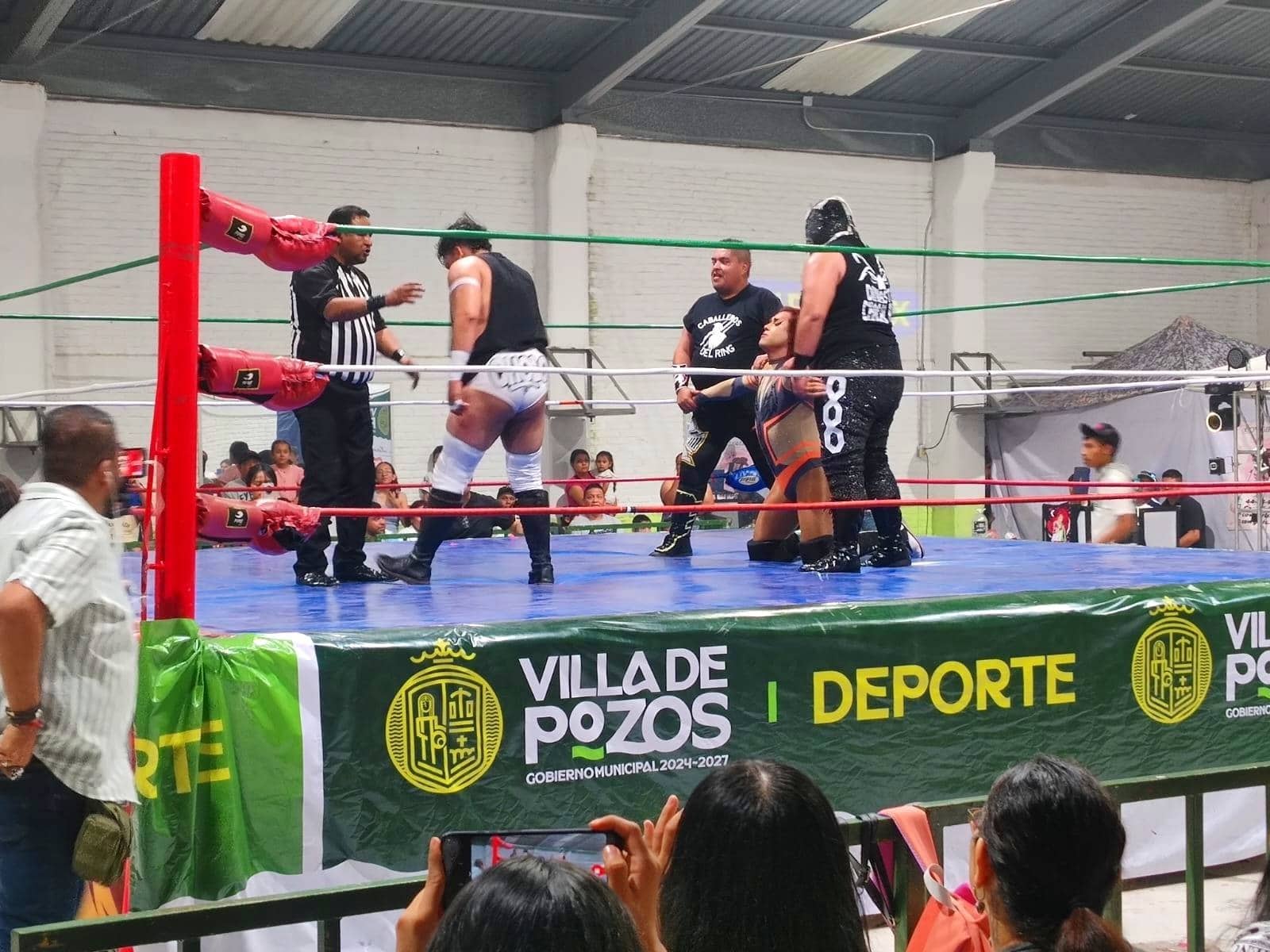 villa de pozos lucha libre