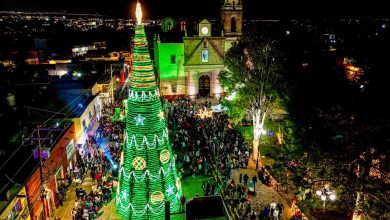 villa de pozos navidad patricia aradillas