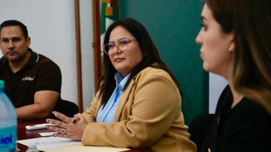 villa de pozos patricia aradillas