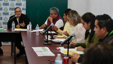 villa de pozos ley de ingresos