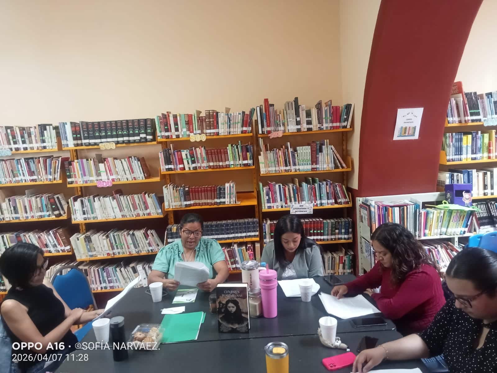 villa de pozos bibliotecas
