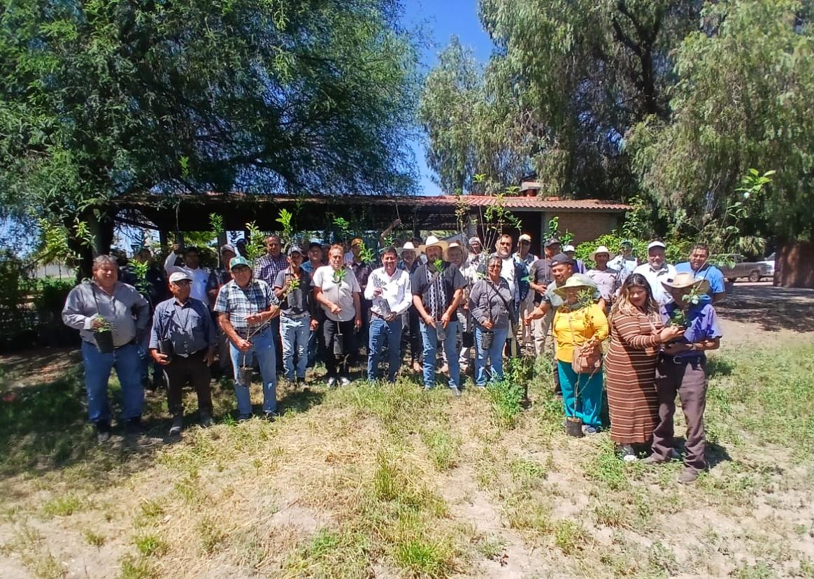 reforestación soledad