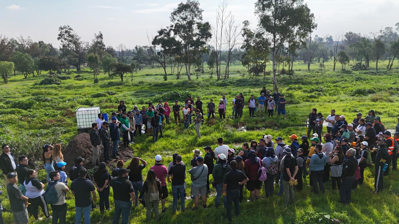 reforestación parque tangamanga