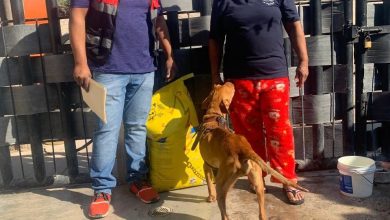 rescate animal gobierno municipal slp