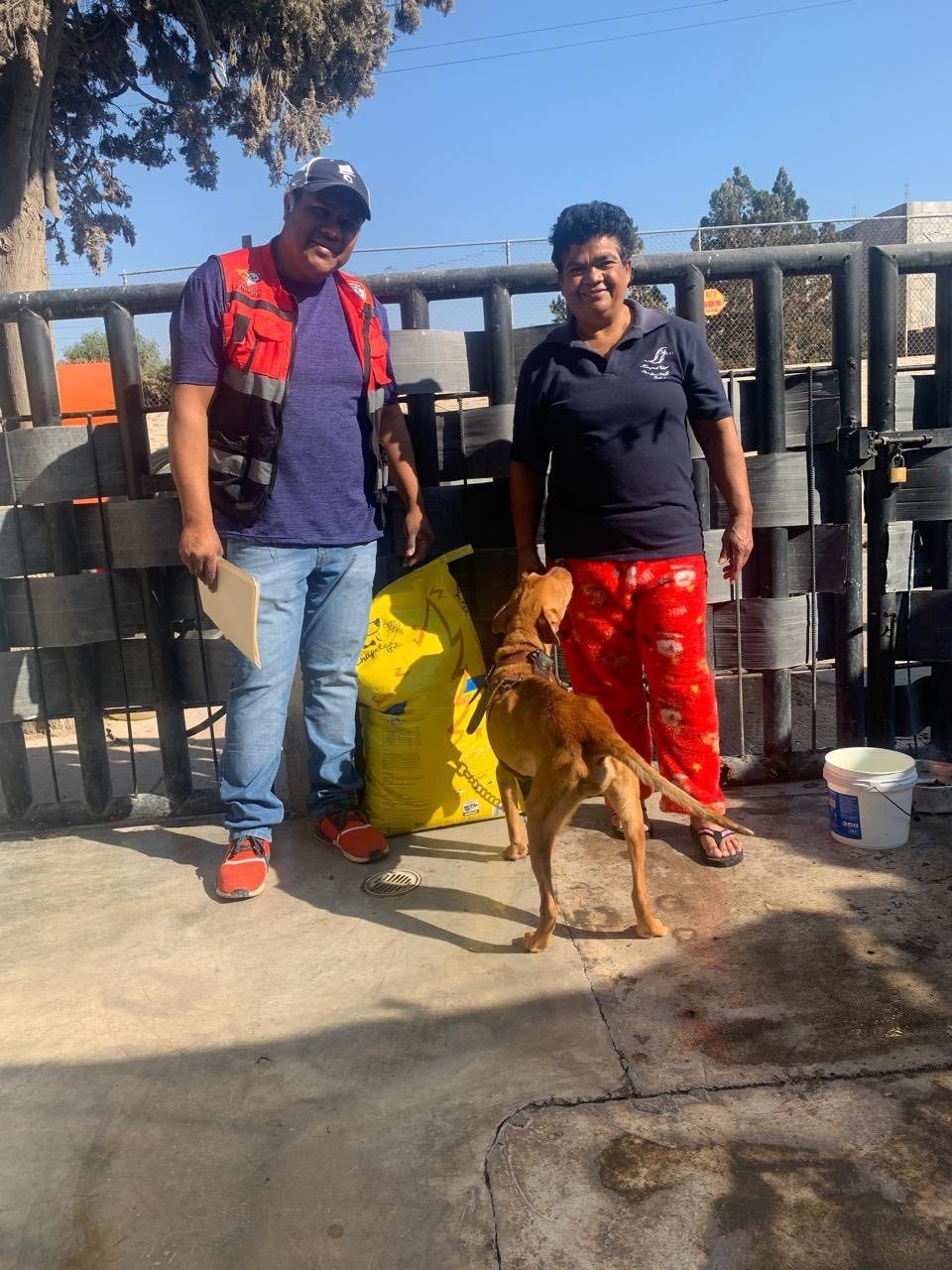 rescate animal gobierno municipal slp