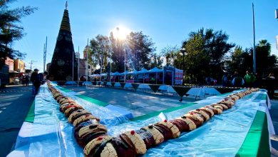 rosca de reyes villa de pozos