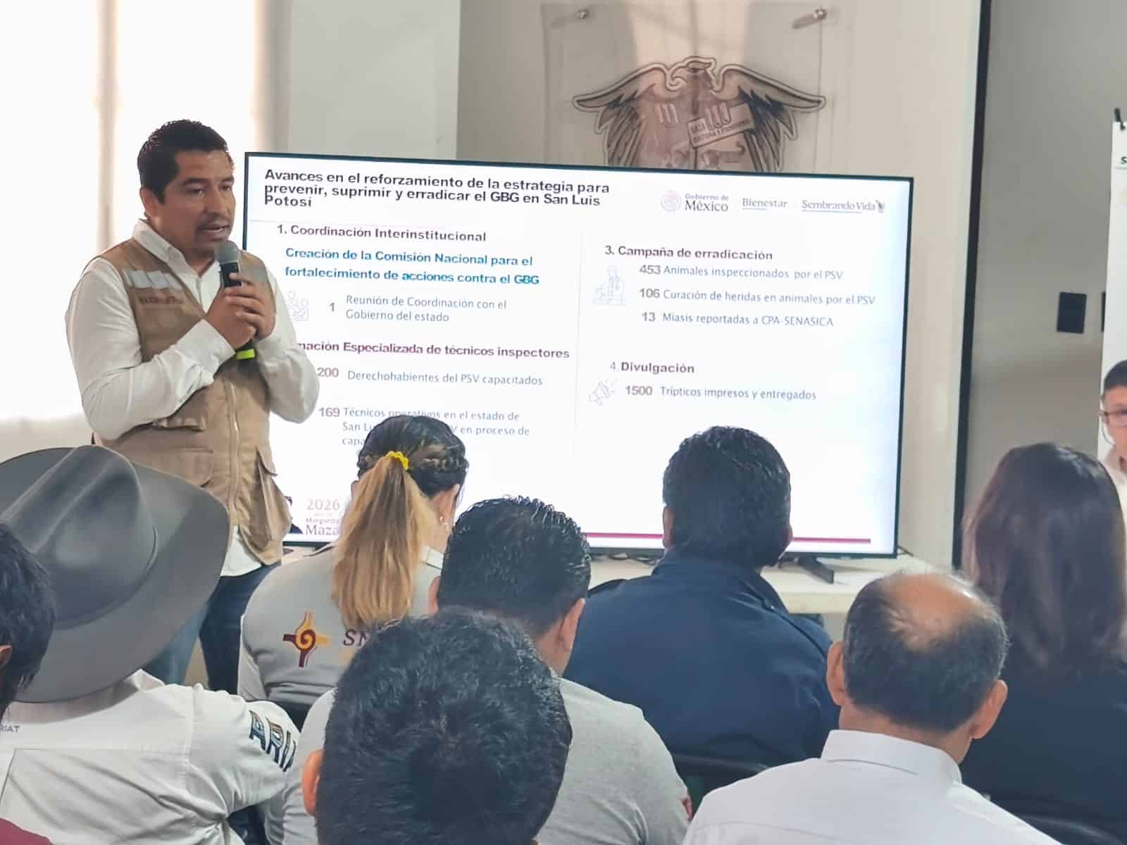 gusano barrenador salud