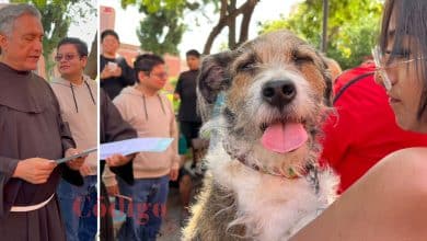 san francisco asís bendición mascotas