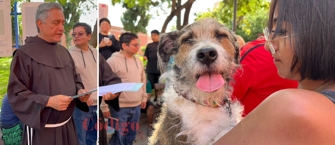 san francisco asís bendición mascotas