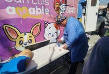 vida sana salud animales