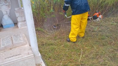 panteón el saucito limpieza