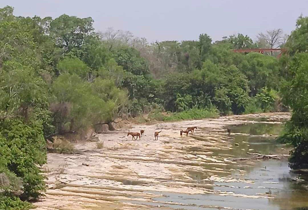 se seco el rio valles