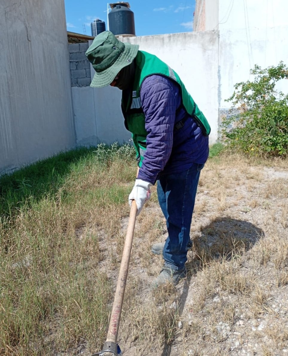 servicios básicos soledad