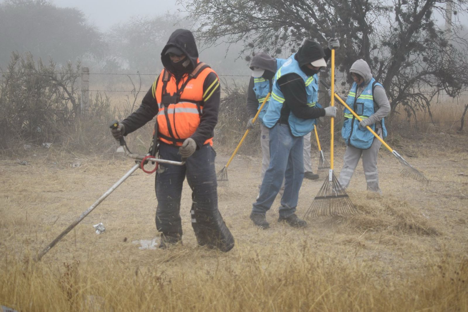 servicios gobierno municipal slp