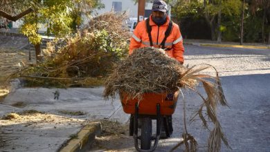 servicios municipales slp gobierno