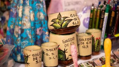 soledad stand fenapo