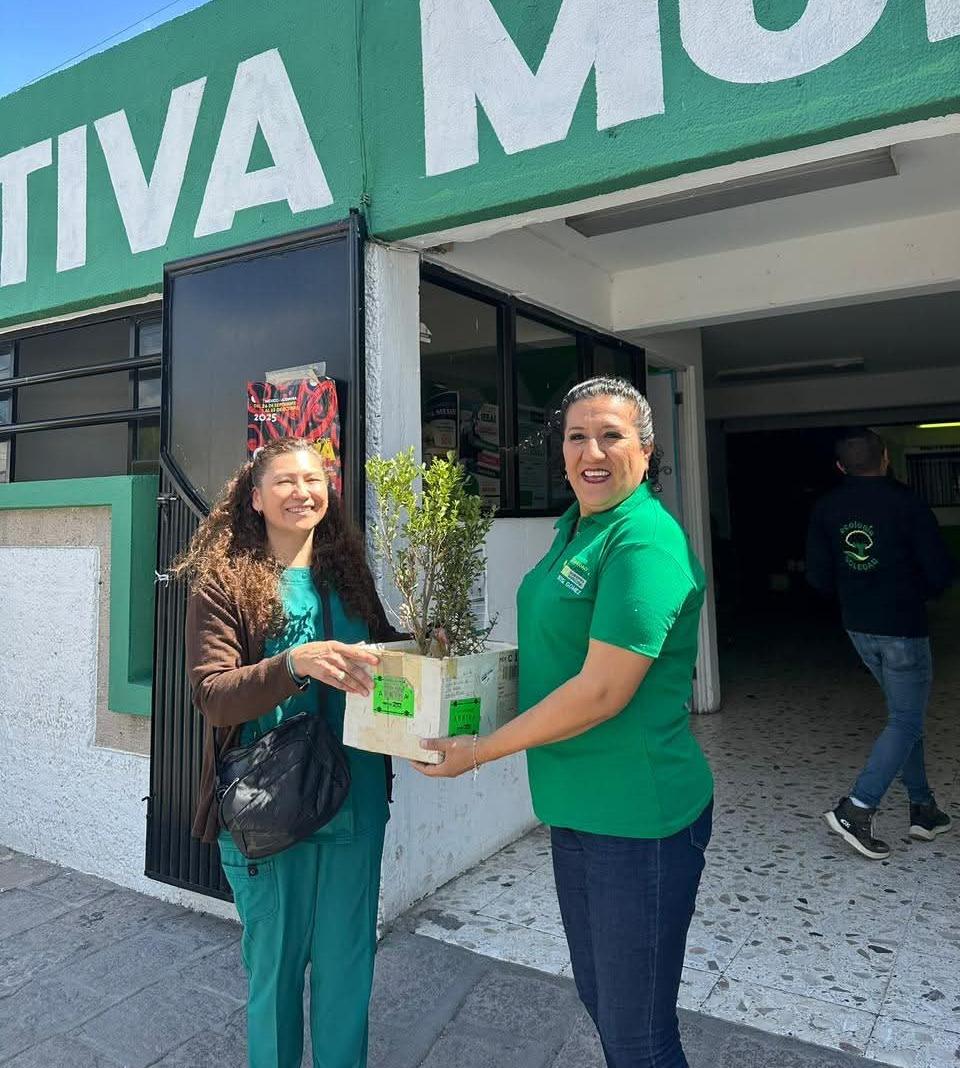 soledad medio ambiente
