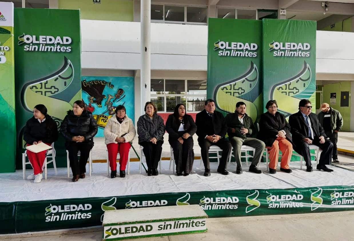 soledad juan manuel navarro depresión