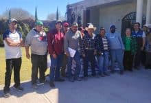 soledad gusano barrenador