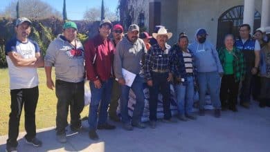 soledad gusano barrenador