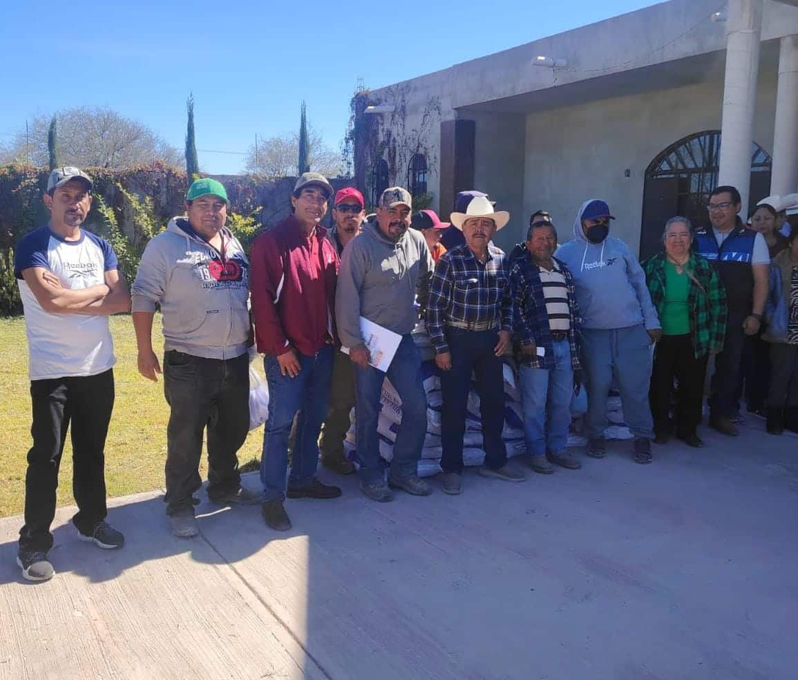 soledad gusano barrenador