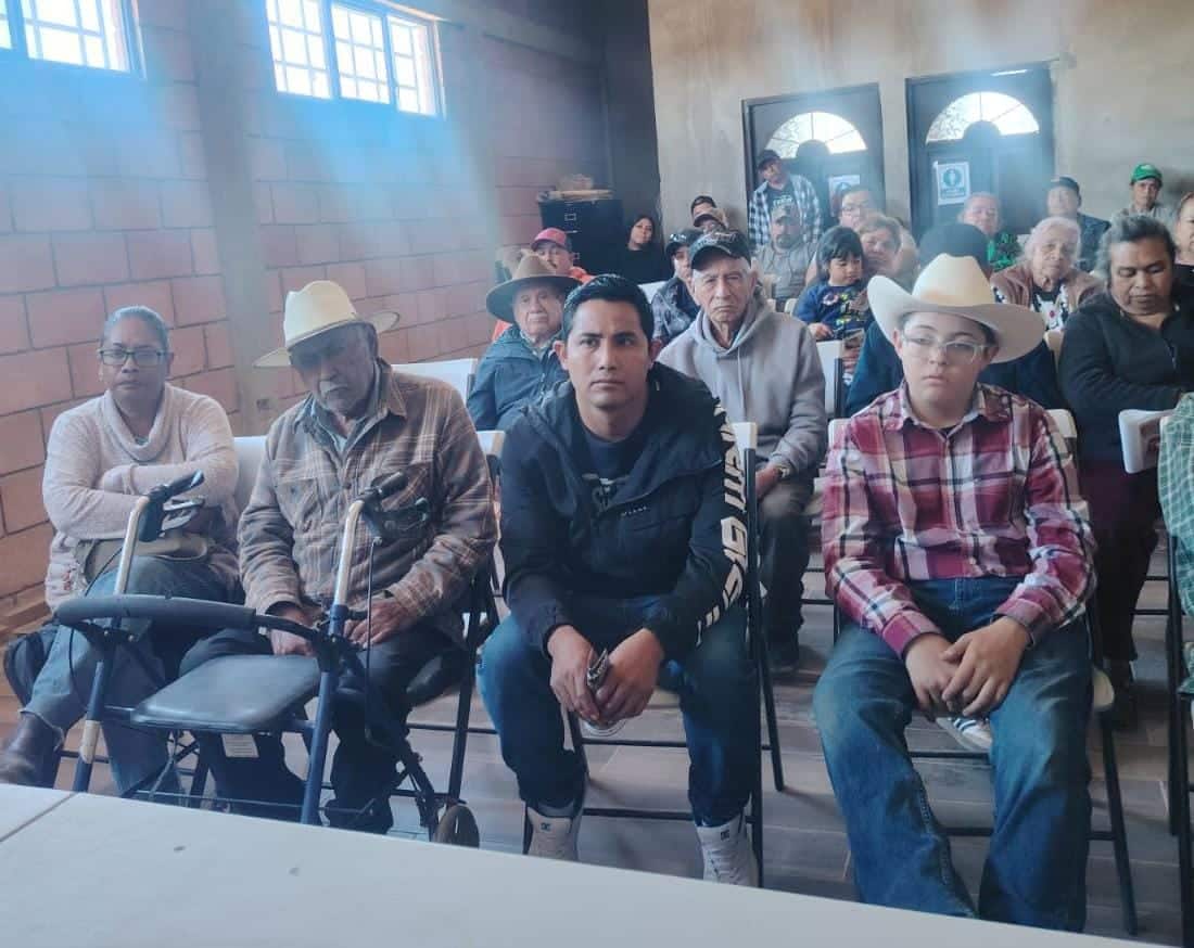 soledad gusano barrenador