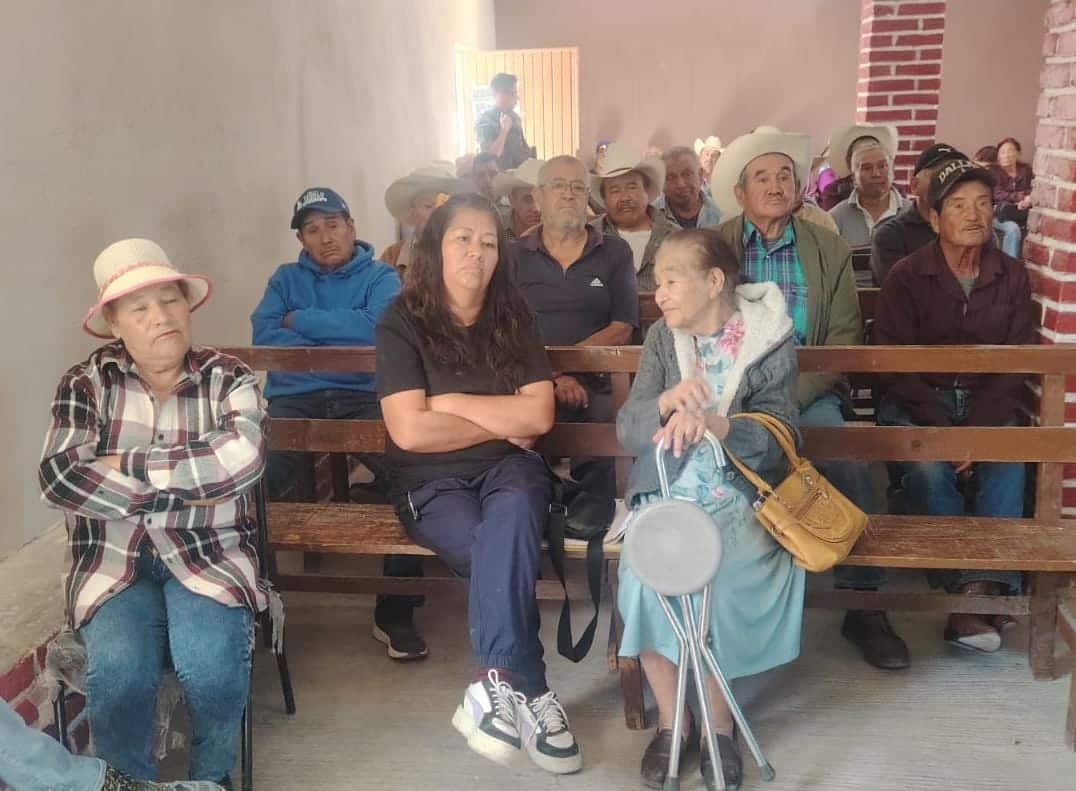 soledad gusano barrenador