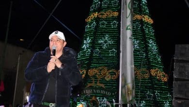 soledad posadas juan manuel navarro ricardo gallardo