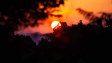 Solsticio de verano 2025: el día más largo del año 