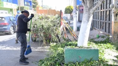 toneladas basura soledad