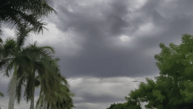 tormenta Alberto Ciudad Valles