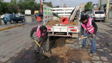 trabajo limpieza gobierno municipal slp