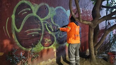 trabajos saucito gobierno municipal slp