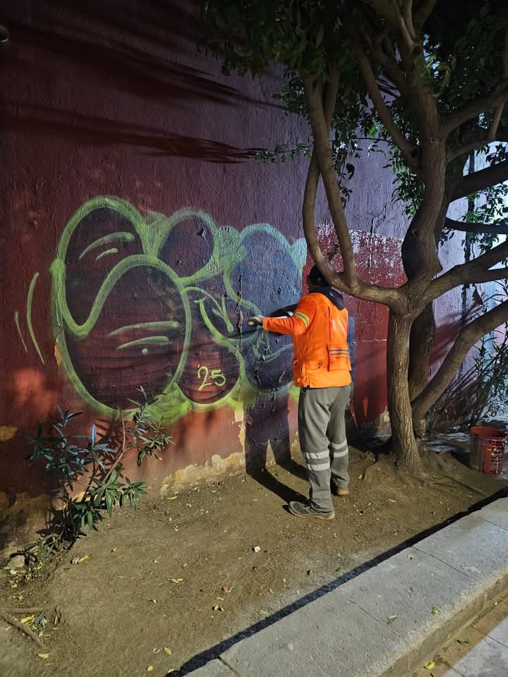 trabajos saucito gobierno municipal slp