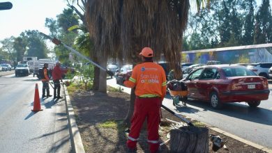gobierno municipal slp enrique galindo