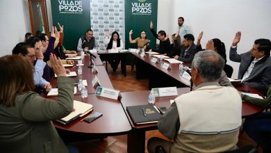 villa de pozos patricia aradillas