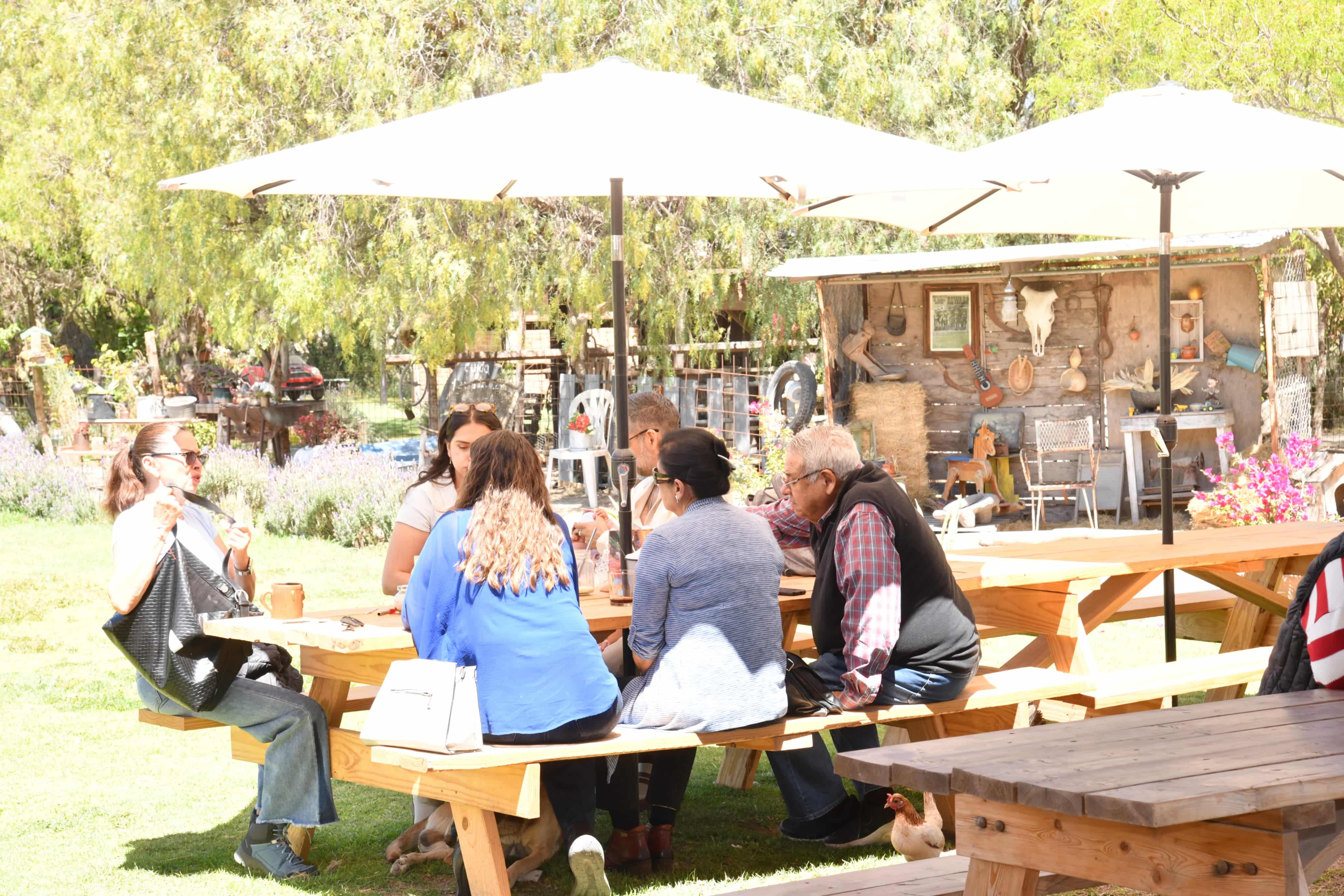 registro nacional turismo soledad