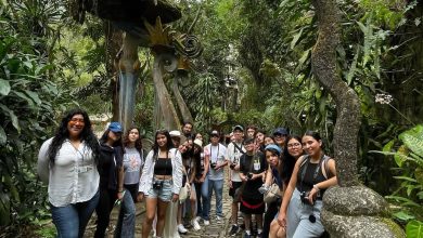 turismo gobierno del estado