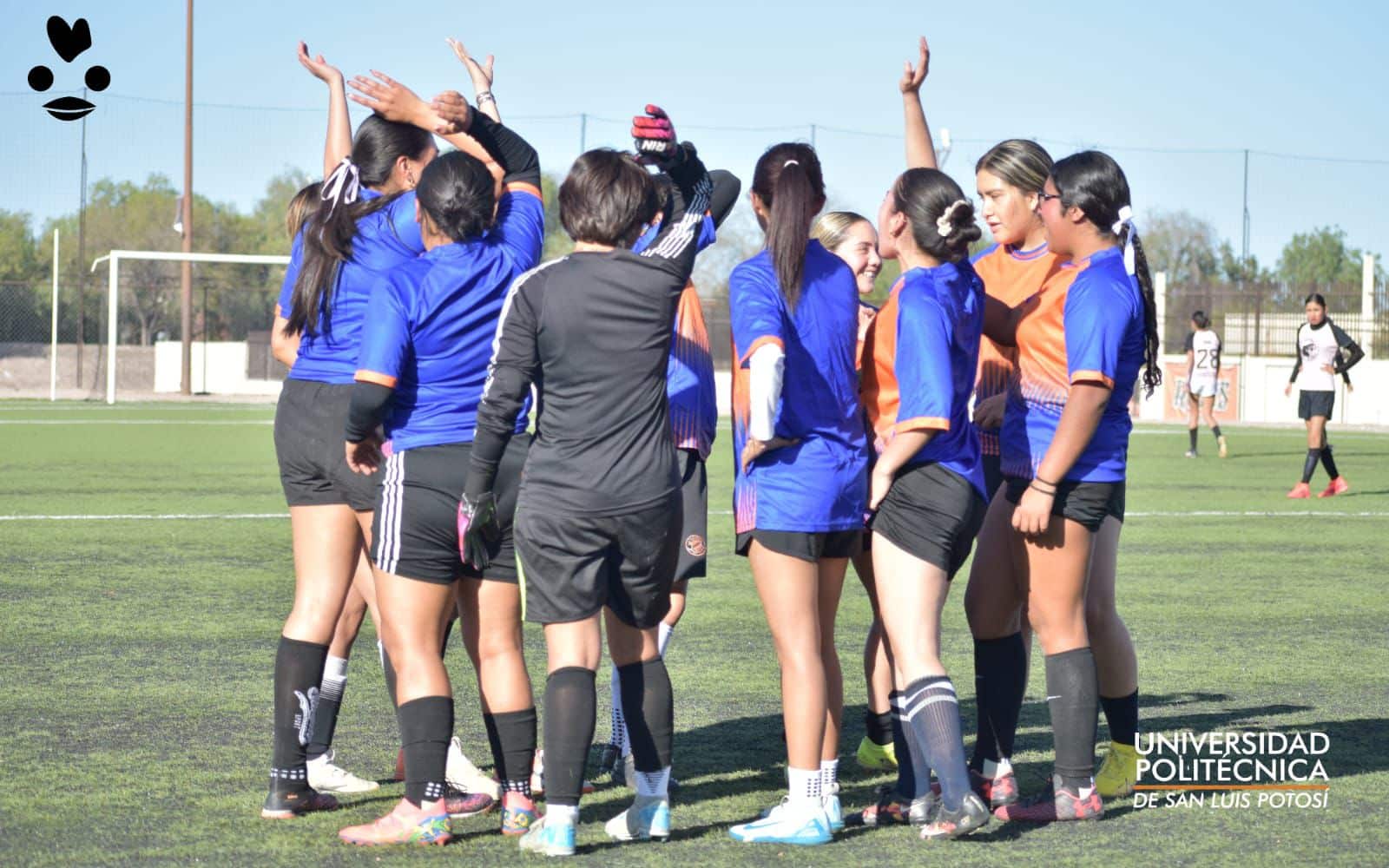 universidad politécnica copa potosí 2026