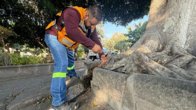 mantenimiento urbano gobierno municipal slp