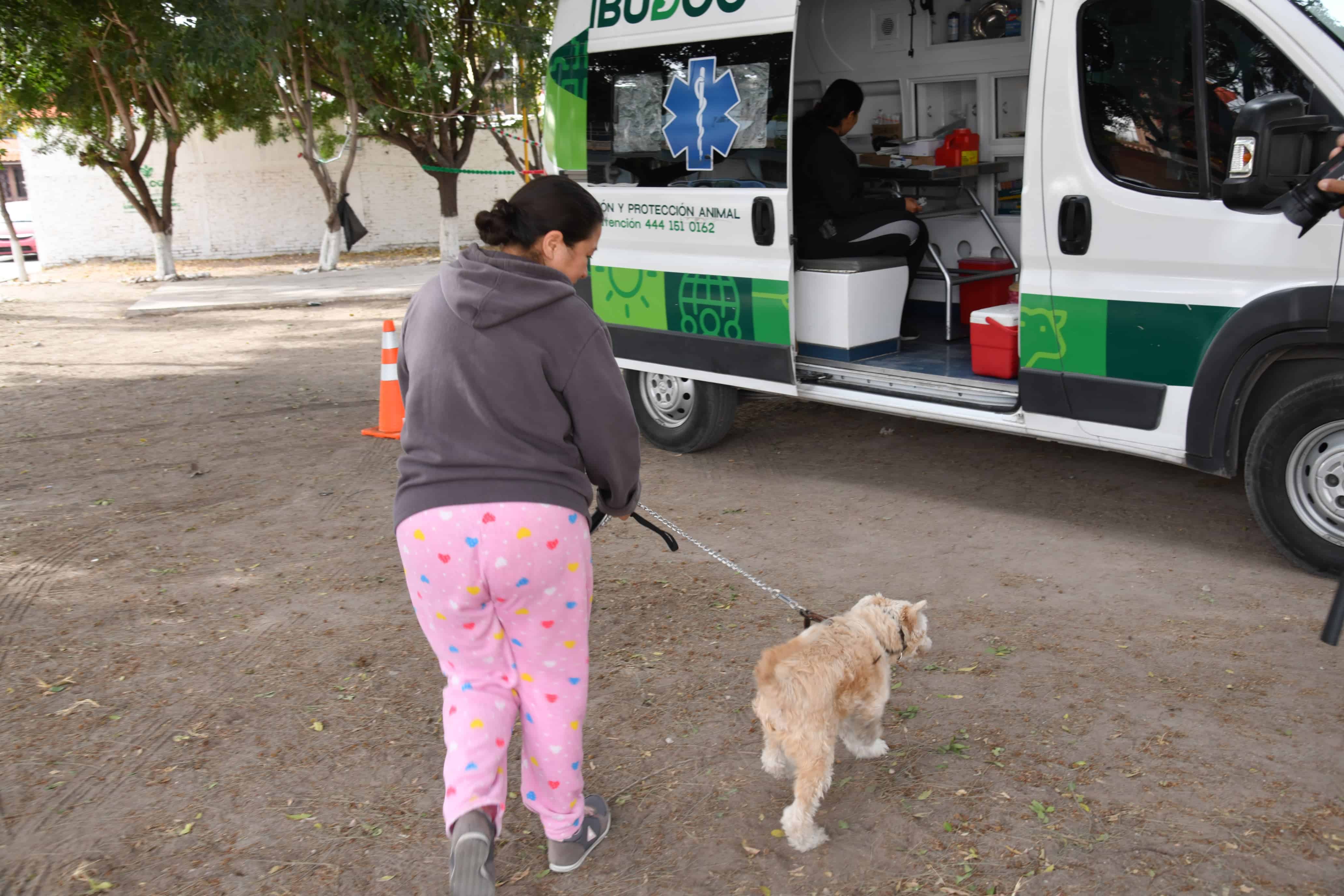 vacunación antirrábica soledad