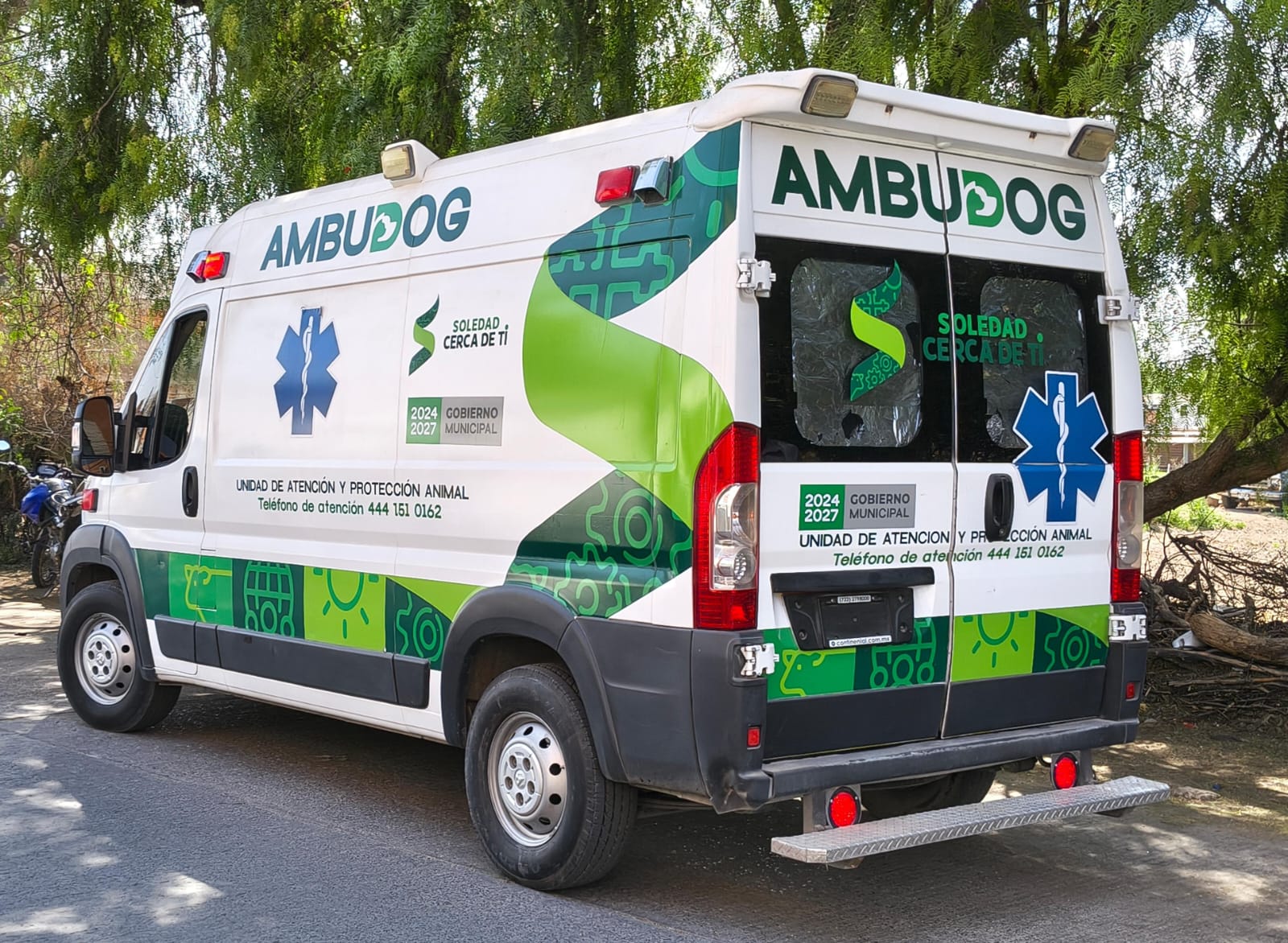 vacunación antirrábica soledad