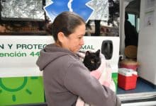 vacunación antirrábica soledad