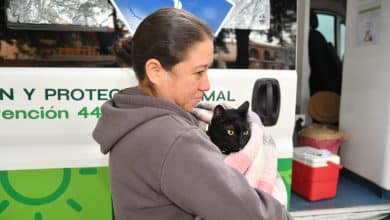 vacunación antirrábica soledad