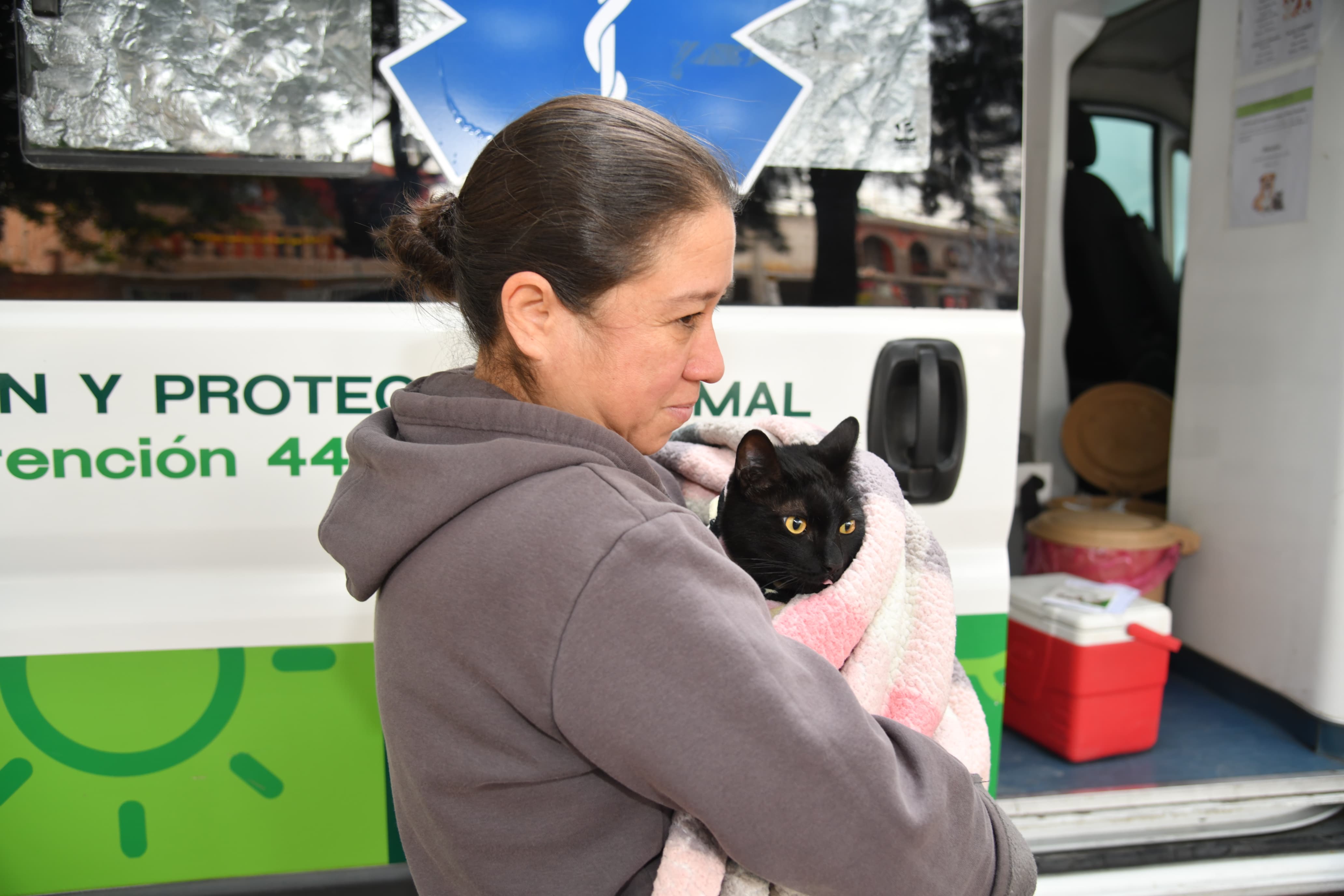 vacunación antirrábica soledad