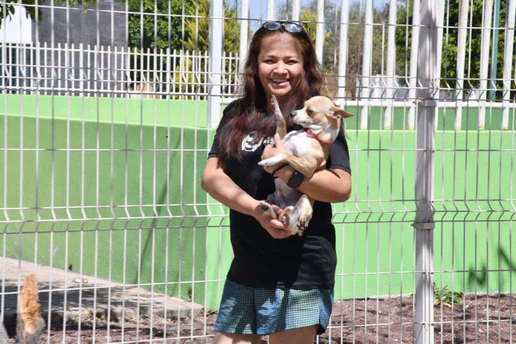 vacunación antirrábica soledad