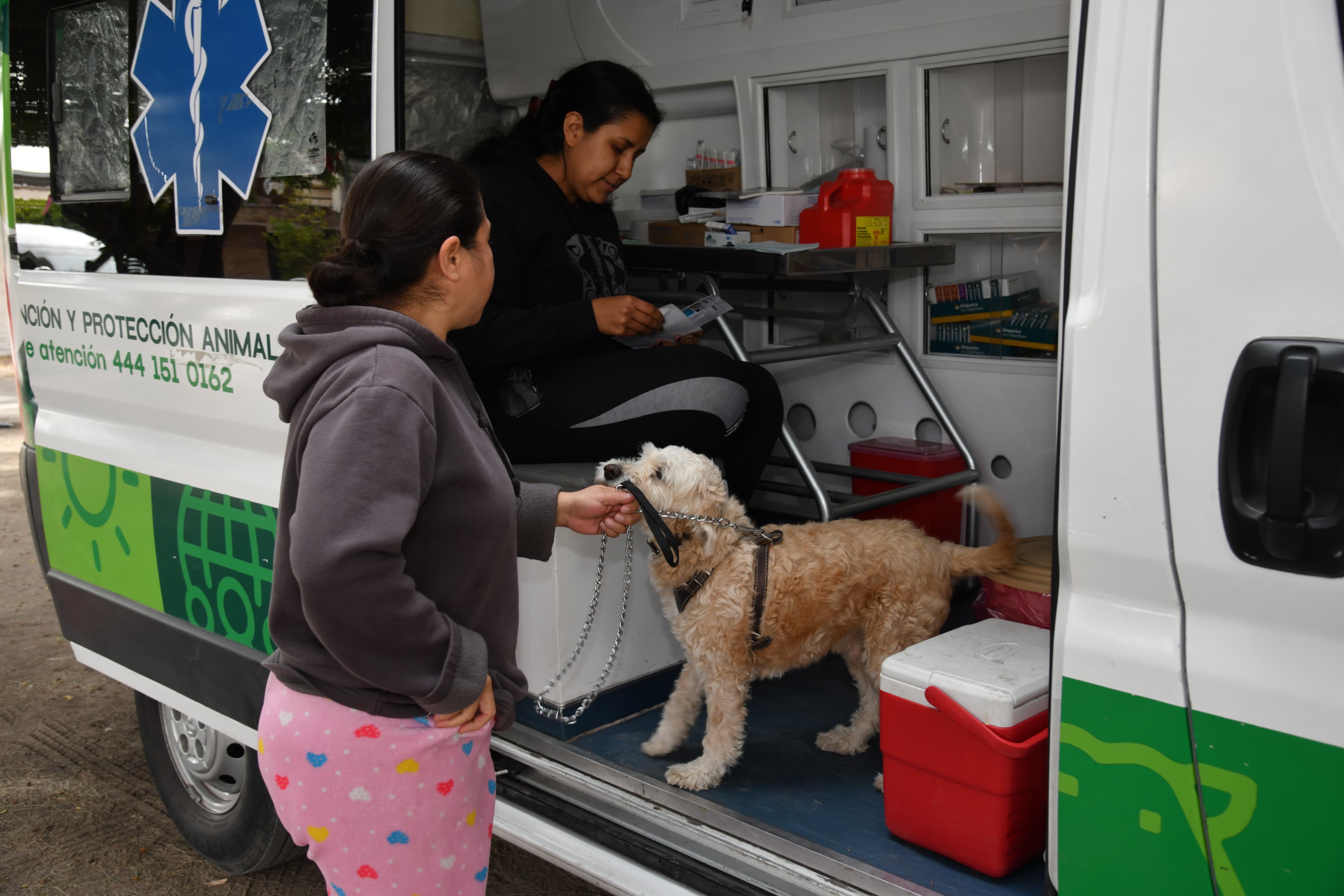 vacunación antirrábica soledad