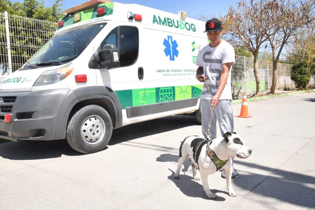 vacunación antirrábica soledad