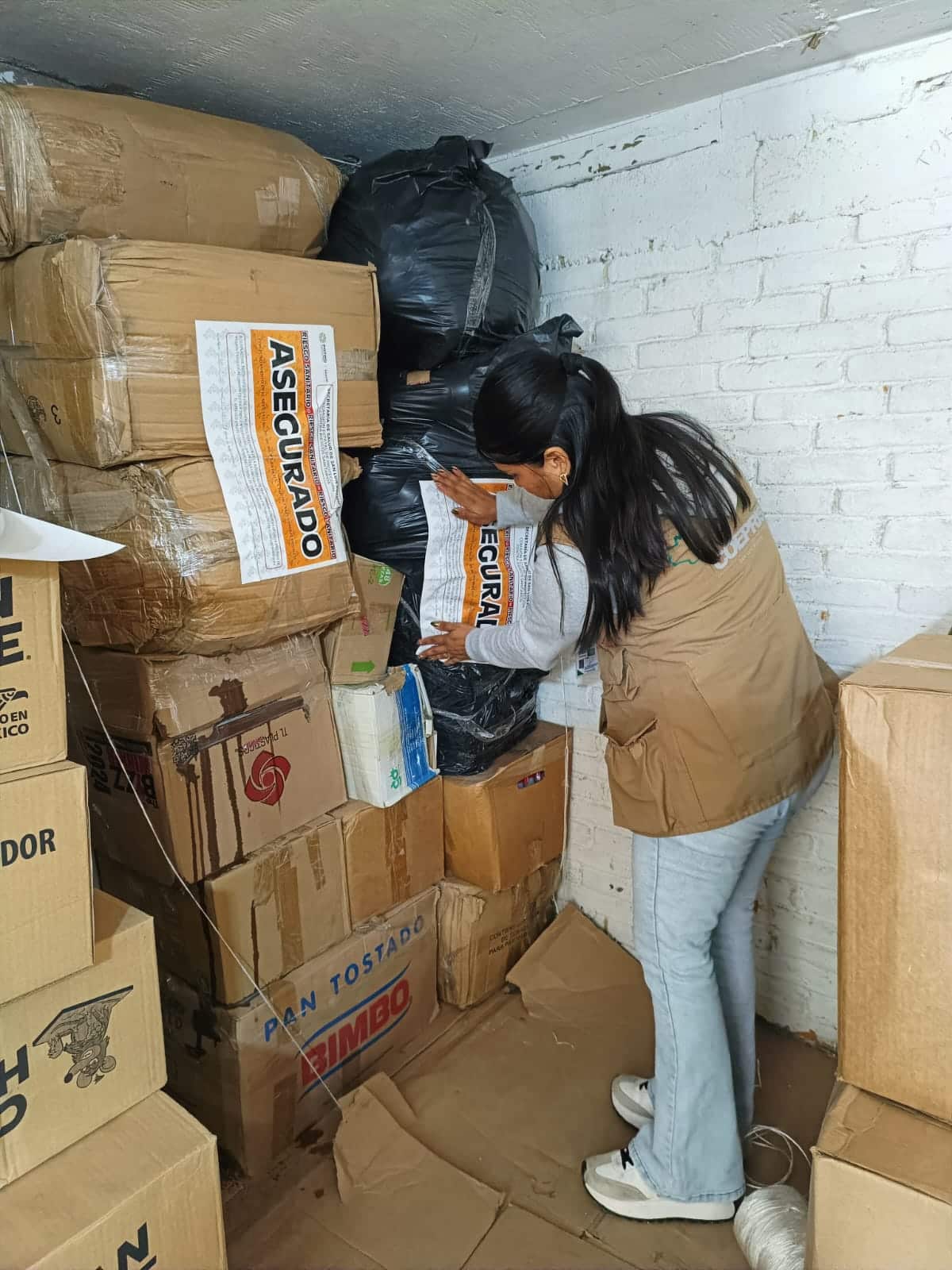 coepris fumigación servicios de salud