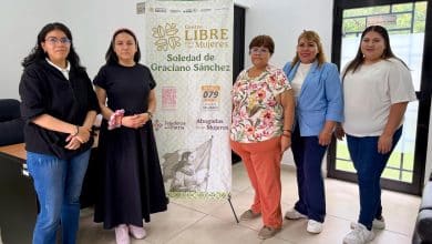 violencia vicaria soledad